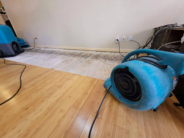 Professional Water Damage Repair technician working in Artesia, CA